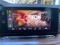 Skoda Octavia Scout 4x4 AHV,LED-Matrix,ACC,Head-Up,Navi,R-Kamera Weiß - thumbnail 23