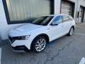 Skoda Octavia Scout 4x4 AHV,LED-Matrix,ACC,Head-Up,Navi,R-Kamera Weiß - thumbnail 7
