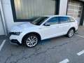 Skoda Octavia Scout 4x4 AHV,LED-Matrix,ACC,Head-Up,Navi,R-Kamera Weiß - thumbnail 8