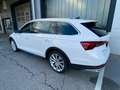 Skoda Octavia Scout 4x4 AHV,LED-Matrix,ACC,Head-Up,Navi,R-Kamera Weiß - thumbnail 14