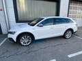 Skoda Octavia Scout 4x4 AHV,LED-Matrix,ACC,Head-Up,Navi,R-Kamera Weiß - thumbnail 9