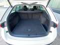 Skoda Octavia Scout 4x4 AHV,LED-Matrix,ACC,Head-Up,Navi,R-Kamera Weiß - thumbnail 47