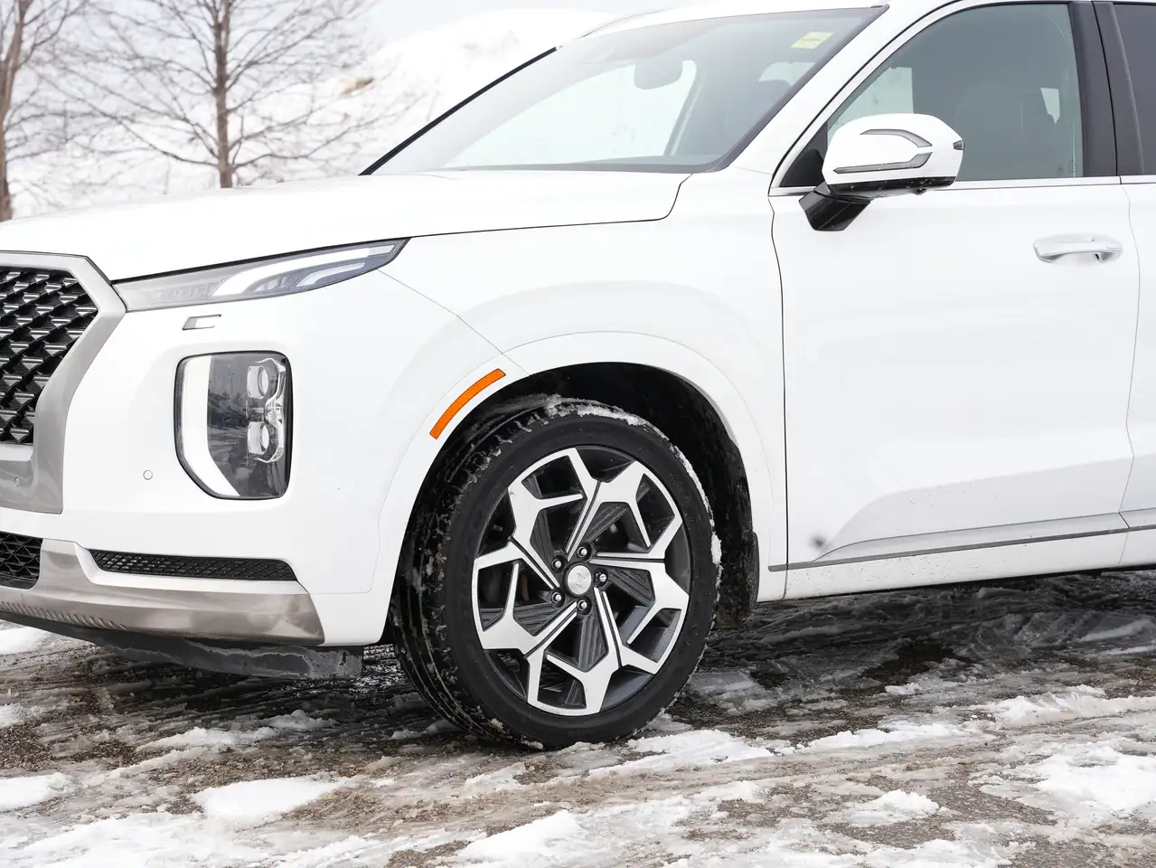 Hyundai PALISADE снимка Hyundai PALISADE