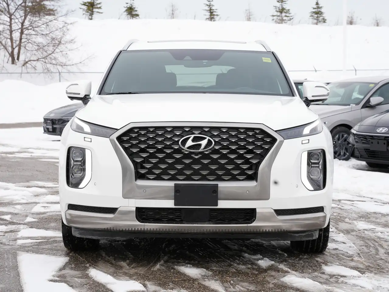 Hyundai PALISADE снимка Hyundai PALISADE