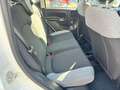 Fiat Panda Panda 1.0 FireFly S&S Hybrid City Life AZIENDALE Blanc - thumbnail 10