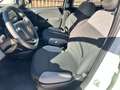 Fiat Panda Panda 1.0 FireFly S&S Hybrid City Life AZIENDALE Blanc - thumbnail 17