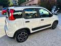 Fiat Panda Panda 1.0 FireFly S&S Hybrid City Life AZIENDALE Blanc - thumbnail 6