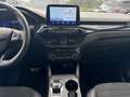 Ford Kuga 1.5 EcoBlue 120 CV aut. 2WD ST-Line X Blu/Azzurro - thumbnail 10