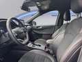 Ford Kuga 1.5 EcoBlue 120 CV aut. 2WD ST-Line X Blu/Azzurro - thumbnail 8