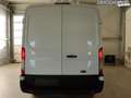 Ford Transit 350 L3H2 Trend 2.0 TDCi 105PS-DAB-Tempomat-behe... Weiß - thumbnail 5