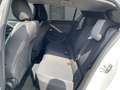 Opel Astra L Edition, Digitales Cockpit,LED, Klimaautomatik, Weiß - thumbnail 9
