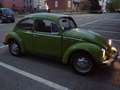 Volkswagen Maggiolino 1192 Verde - thumbnail 4