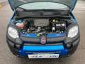 Fiat New Panda Panda 1.0 FireFly S&S Hybrid Bleu - thumbnail 11