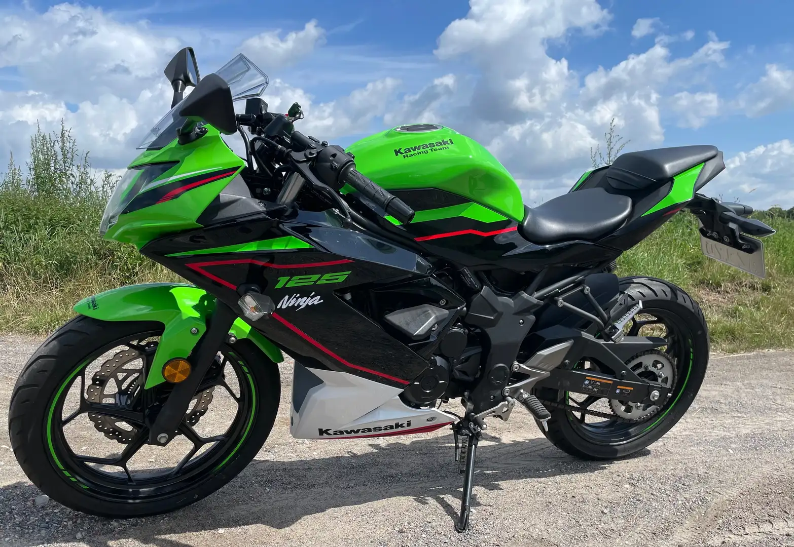 Kawasaki Ninja 125 Verde - 2