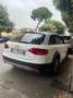 Audi A4 allroad 2.0 tdi Ambiente 143cv - thumbnail 5