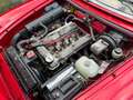 Alfa Romeo Spider 1.6 sehr gepflegt Rood - thumbnail 12