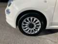 Fiat 500 Hybrid 70 Dolcevita Weiß - thumbnail 5