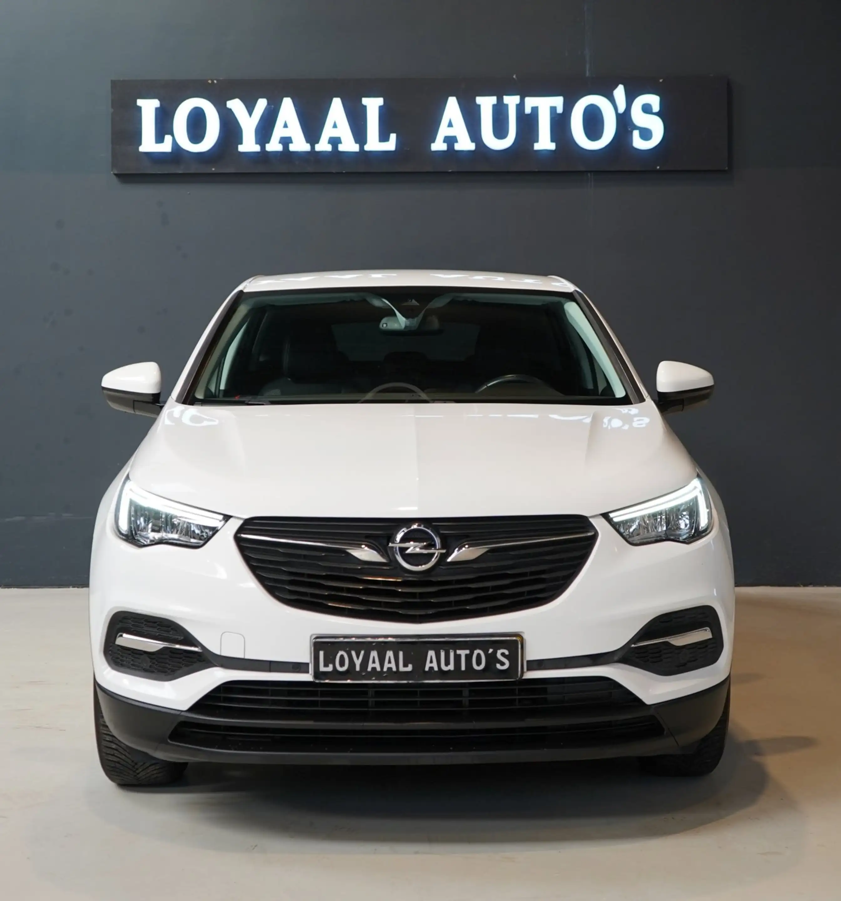 Opel Grandland X 1.2 Turbo Business Edition | AUT | CRUISE | TREKHA — photo 3