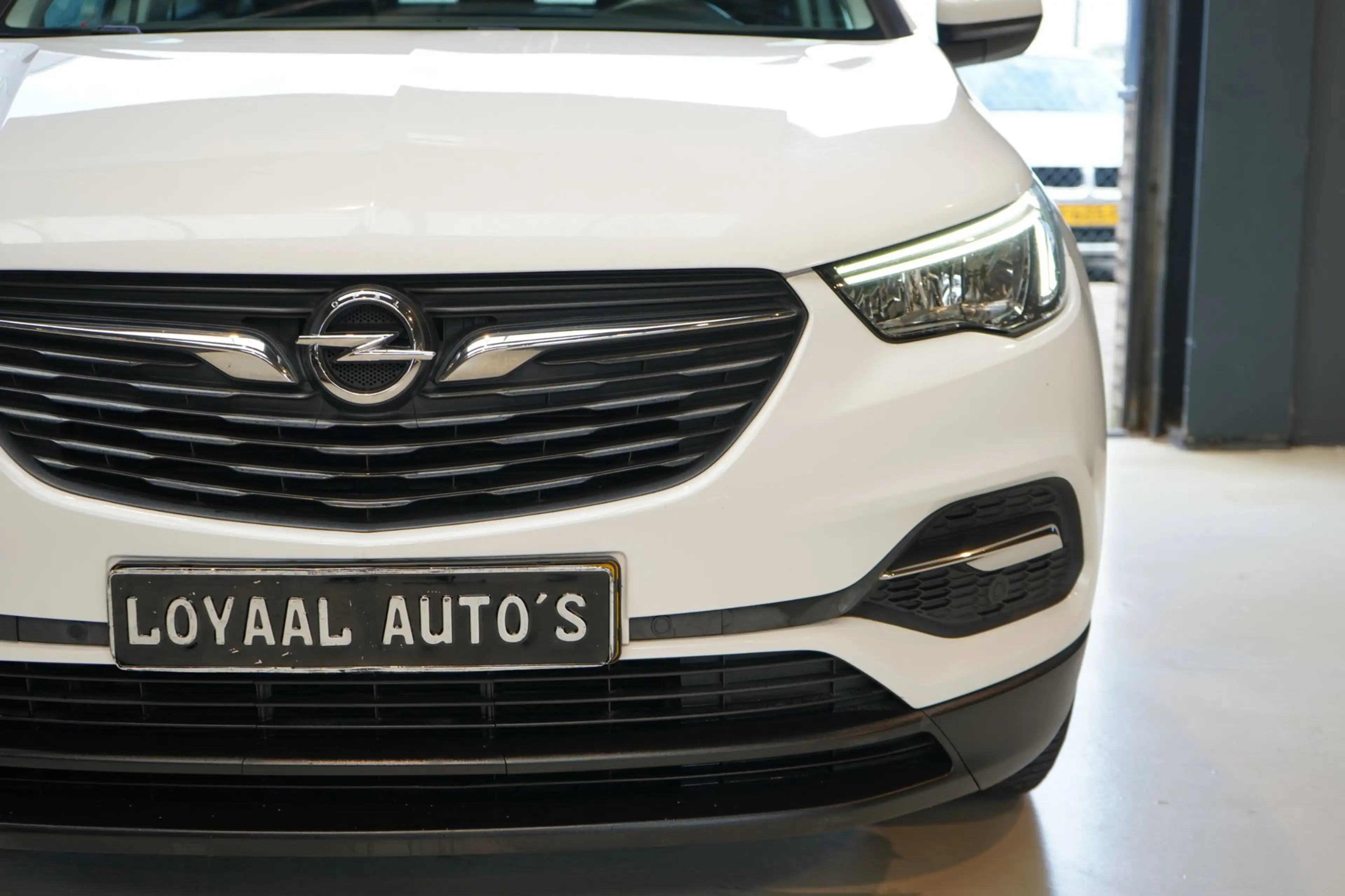 Opel Grandland X 1.2 Turbo Business Edition | AUT | CRUISE | TREKHA — photo 11