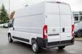 Opel Movano MOVANO/L3H3/TRANSPORTER/SONDERPREIS! Blanc - thumbnail 4
