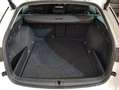 Skoda Octavia Combi 2.0TDI Scout 147kW DSG 4x4 Blanco - thumbnail 9