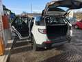 Land Rover Discovery Sport 2.0 con 284.000km motore nuovo a 150.000km Bianco - thumbnail 10