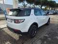 Land Rover Discovery Sport 2.0 con 284.000km motore nuovo a 150.000km Bianco - thumbnail 6