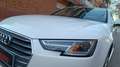 Audi A4 Avant 3.0TDI Sport ed. Q. tiptronic 200kW Blanco - thumbnail 4