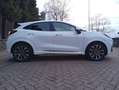 Ford Puma Puma II 2020 1.0 ecoboost h ST-Line Vignale s Blanc - thumbnail 3