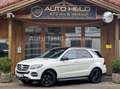 Mercedes-Benz GLE 400 4Matic LED Kam Distronic Schiebedach AHK Wit - thumbnail 1