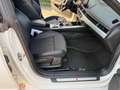 Audi A5 SPB 3.0 TDI 286 CV tiptronic quattro edition Bianco - thumbnail 19