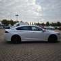 Opel Insignia GSi 2.0Turbo 4x4 AHK Winterräder Allrad Weiß - thumbnail 7