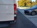 Volkswagen Crafter 30 FURG PM 103 ant M6 MY 25 Bianco - thumbnail 19