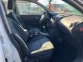 Nissan Qashqai 1.5 dCi DPF Tekna Bianco - thumbnail 12