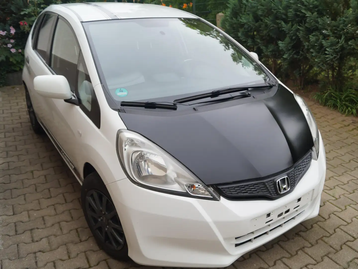 Honda Jazz Jazz 1.2 i-VTEC 50 Jahre Edition Weiß - 1