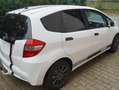 Honda Jazz Jazz 1.2 i-VTEC 50 Jahre Edition Weiß - thumbnail 6