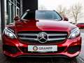 Mercedes-Benz C 400 T Avantgarde 4Matic AHK/Multibeam/Panodach Rojo - thumbnail 11