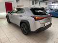 Lexus UX 250h Urban 2.0 2wd cvt-LEGGI SOTTO Argento - thumbnail 5