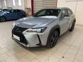 Lexus UX 250h Urban 2.0 2wd cvt-LEGGI SOTTO Argento - thumbnail 6