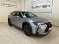 Lexus UX 250h Urban 2.0 2wd cvt-LEGGI SOTTO Argento - thumbnail 1