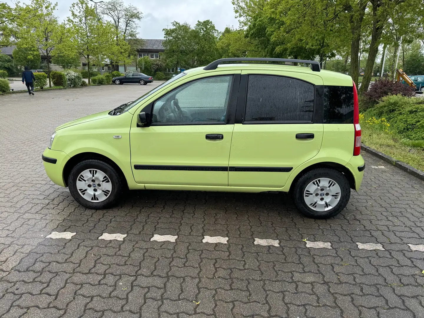 Fiat Panda 1.2 8V Dynamic ++ guter Zustand Grün - 2
