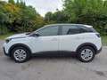 Peugeot 3008 BlueHDi 130 S&S EAT8 Business Bianco - thumbnail 6