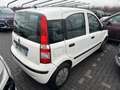 Fiat Panda 1.1 Active eco (active) c/abs - thumbnail 4