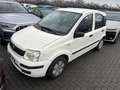 Fiat Panda 1.1 Active eco (active) c/abs - thumbnail 1
