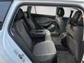Skoda Superb Combi 1.5TSI mHEV DSG Selection MATRIX+AHK+NAVI+++ Weiß - thumbnail 19