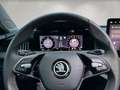 Skoda Superb Combi 1.5TSI mHEV DSG Selection MATRIX+AHK+NAVI+++ Weiß - thumbnail 15