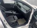 Mercedes-Benz B 180 d Weiß - thumbnail 10
