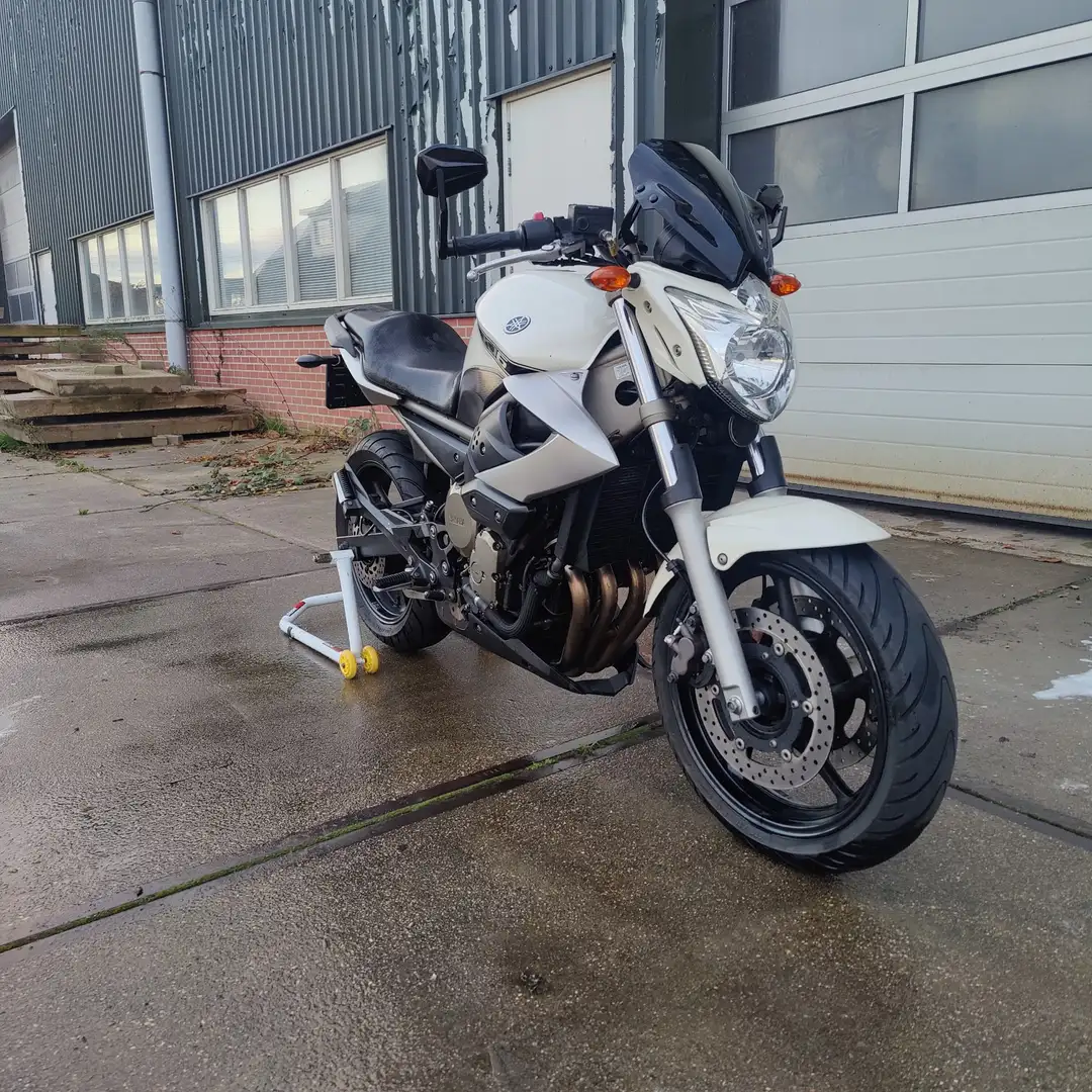 Yamaha XJ 6 Beige - 1