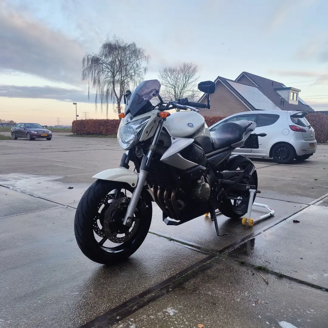 Yamaha XJ 6 Beige - 2