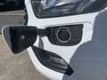 Ford Transit Custom FT 320 L1 Kombi Trend EcoBoost Plug Blanco - thumbnail 8